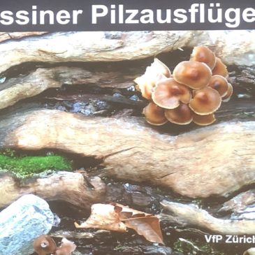 Ivan Cucchi – «Tessiner Pilzausflüge, 2. Teil» – Vortrag am 5. Mai 2025
