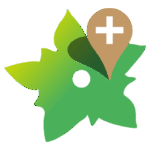 FlorApp Logo